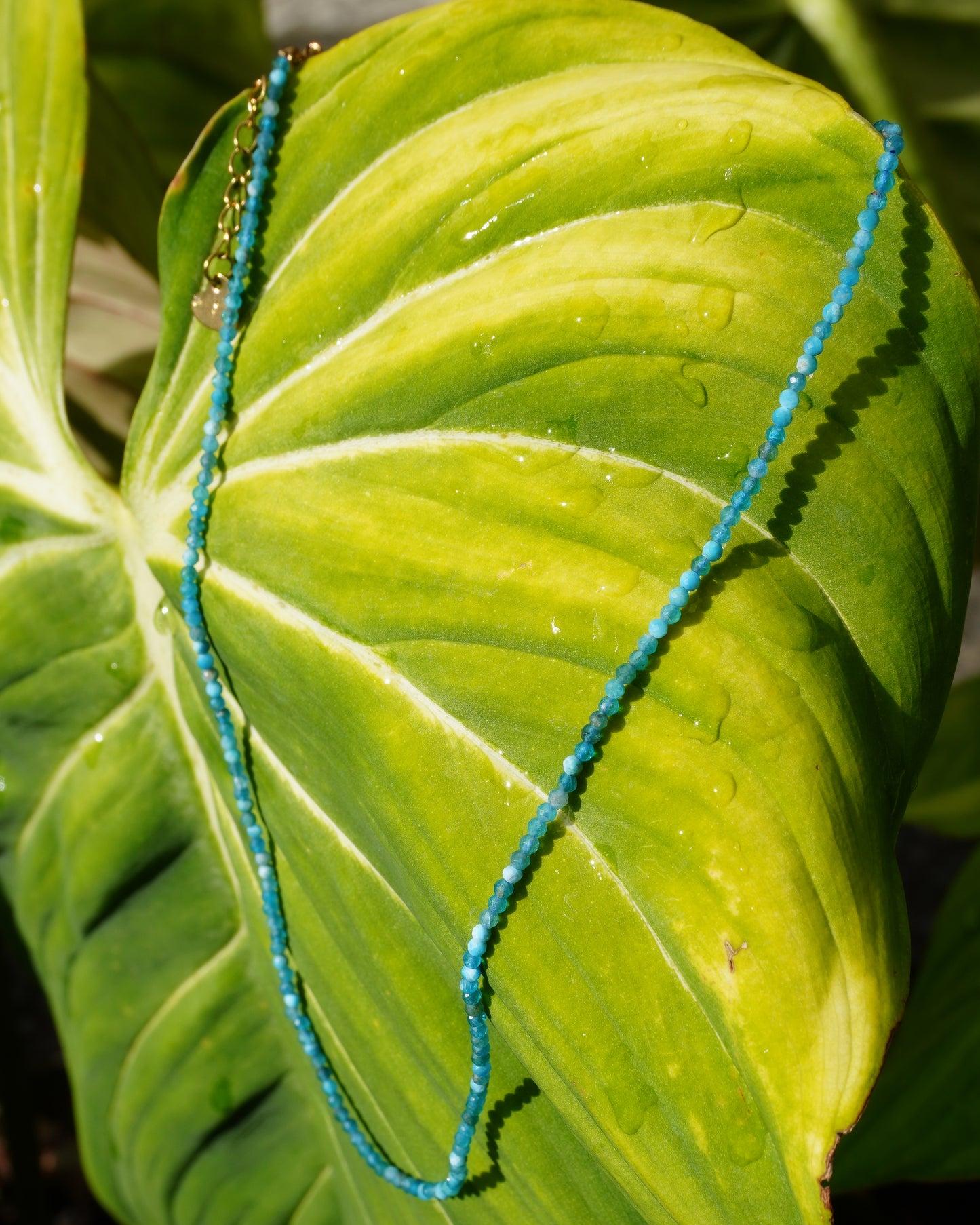 NEFERTUM BLOOM Colliers : Quartz-rose/Tourmaline/Aigue-Marine/Apatite Bleue